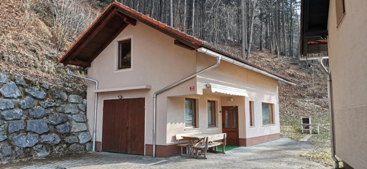 Apartma Regina Slovenj Gradec Ngoại thất bức ảnh