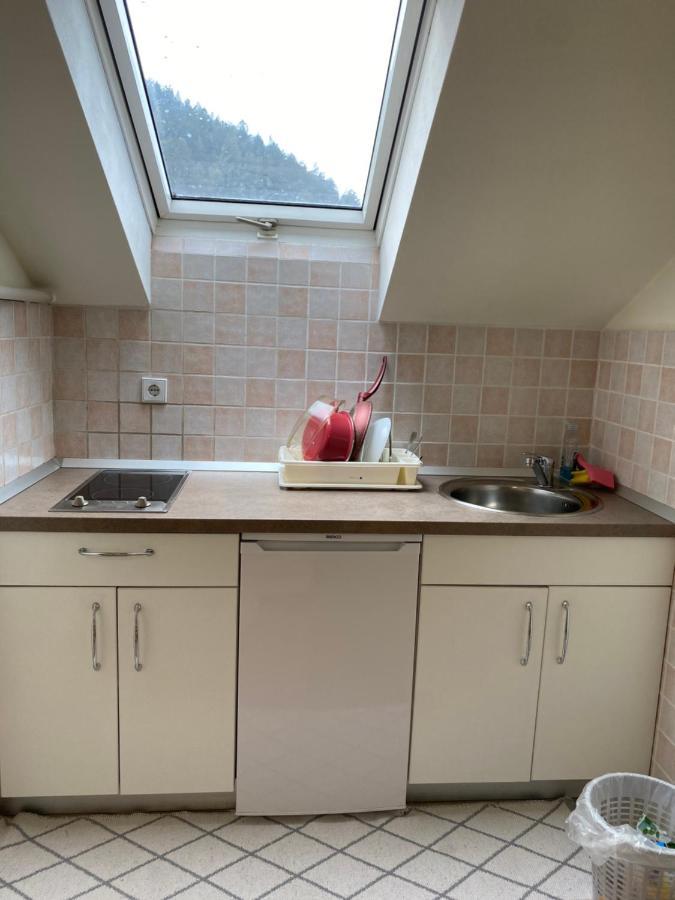 Apartma Regina Slovenj Gradec Ngoại thất bức ảnh