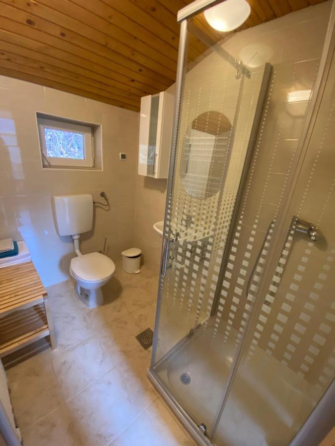 Apartma Regina Slovenj Gradec Ngoại thất bức ảnh